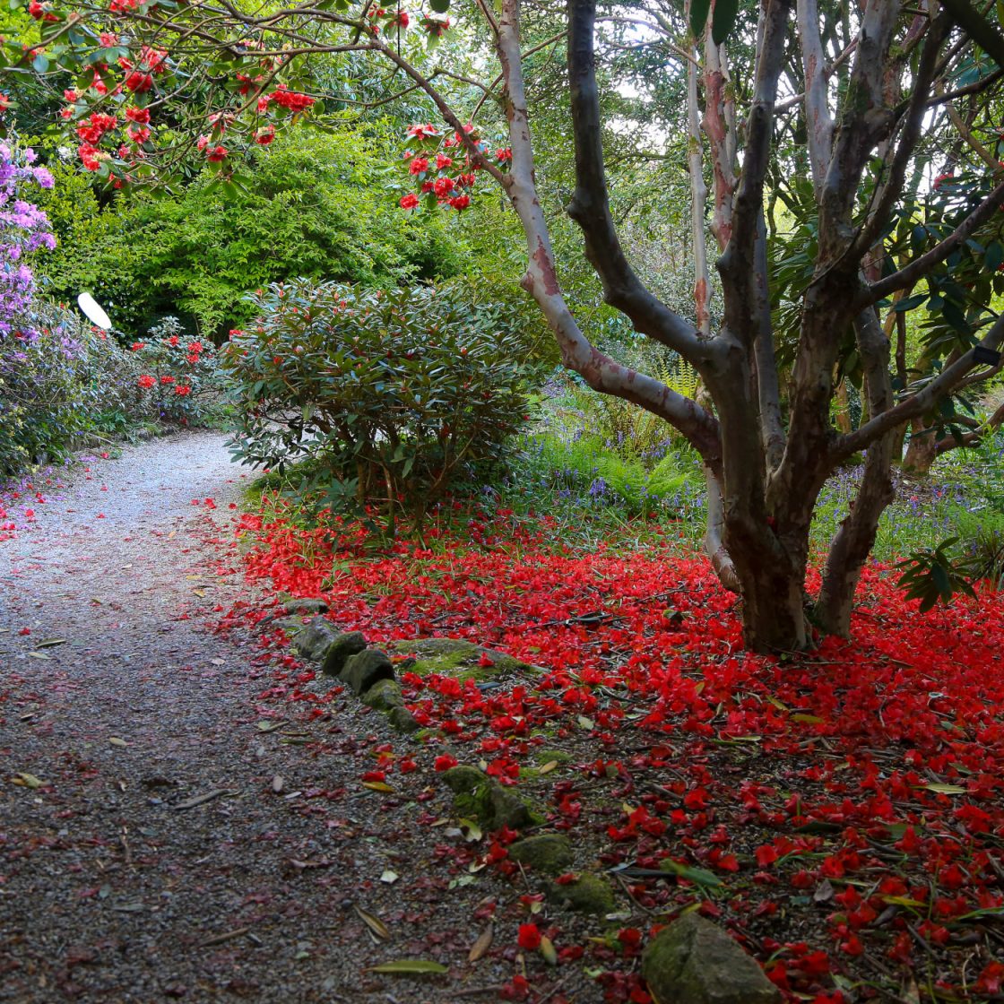 Relacions Gremi de Jardineria